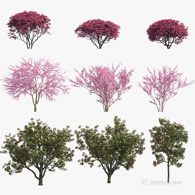 Different Types of Flowering and Evergreen Trees with Red Pink Blooms and Green Foliage 3d model 