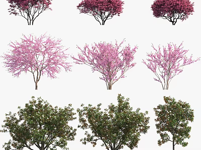 Different Types of Flowering and Evergreen Trees with Red Pink Blooms and Green Foliage 3d model