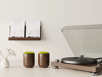 Minimalist Modern Turntable Audio Equipment For Home Decor With Green Plants On White Tabletop 3d model