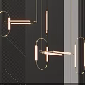 Modern Elegant Pendant Lights Design With Circular And Linear Metal Lighting Structures 3d model