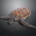 Brown and Orange Patterned Sea Turtle With Stretching Limbs On Dark Surface