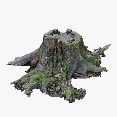 Natural Garden Decor Featuring Tree Stump Covered In Moss And Exposed Roots With Fallen Leaves 3d model