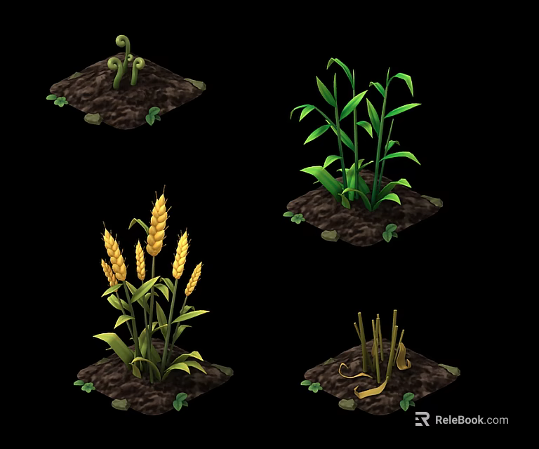 Different Agricultural Plant Growth Stages Featuring Seedlings Corn Wheat And Stalks 3d model 
