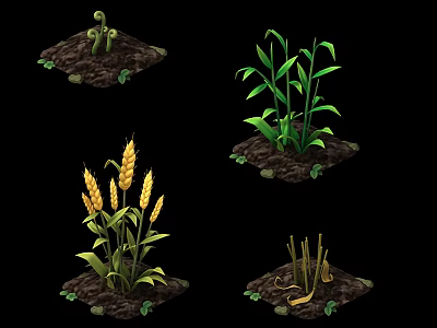 Different Agricultural Plant Growth Stages Featuring Seedlings Corn Wheat And Stalks 3d model