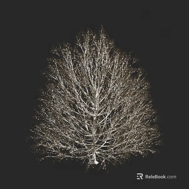Arbor With Bare Branches And Natural Branch Structure Against Dark Background 3d model