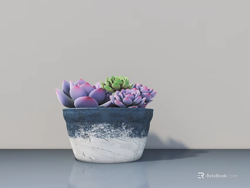 Bonsai Succulent Plant With Purple Green Leaves In Blue White Gradient Pot On Smooth Surface 3d model 