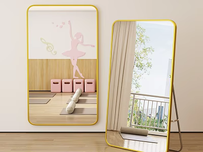 Gold Framed Wall And Floor Mirrors Featuring Ballet Sticker Pink Bins Yoga Mat Tree View 3d model