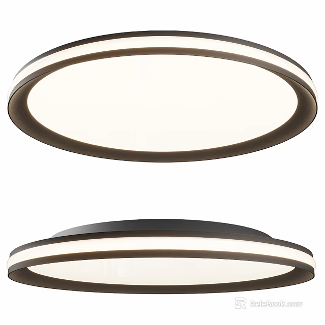 Modern Round Flush Mount Ceiling Light With Black Frame And White Shade Design 3d model