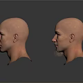 Male Bald Head Models With Different Angles And Expressions On White Surface
