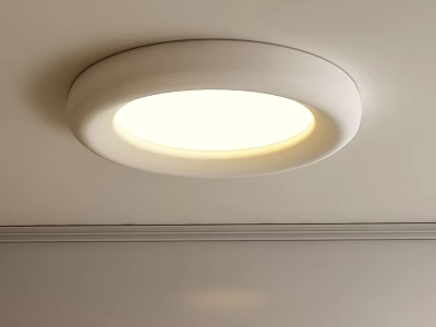 Modern Round Ceiling Light For Bright And Cozy Home Interiors 3d model