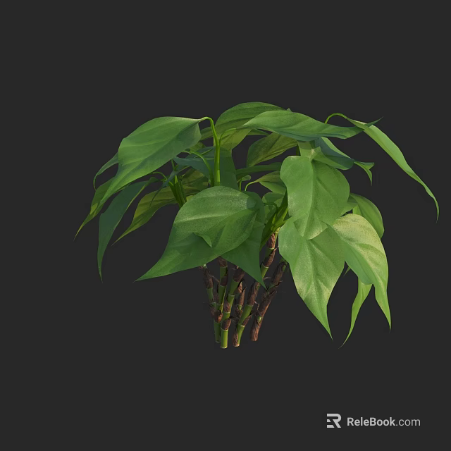 Lush Green Indoor Plant With Fresh Foliage And Vibrant Leaves Details 3d model 