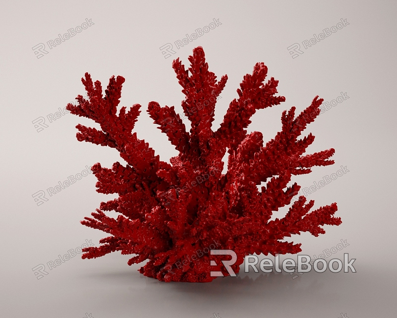 Coral Coral Red Coral Red Coral Red Algae Coral Ornaments model