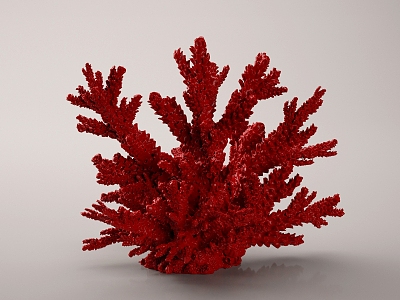 Coral Red Coral Red Coral Red Algae Coral Ornaments model