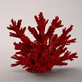 Red Coral Polyps As Aquatic Animals With Branching Structure In Marine Habitat
