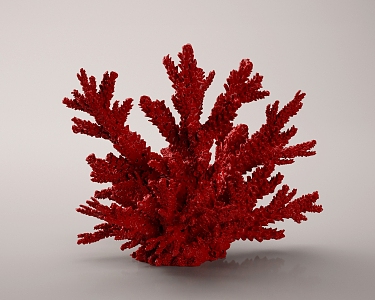 Coral Red Coral Red Coral Red Algae Coral Ornaments 3d model