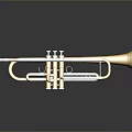 Golden Brass Trumpet with Shiny Keys and Reflection as Household Decorative Item