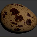 Fresh Quail Egg With Brown Spots On Smooth Surface Against Gray Background With Reflection