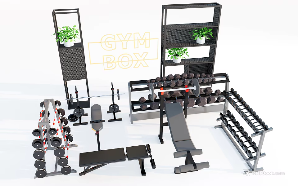 Home Gym Box With Dumbbells Barbells Weight Benches Storage Racks And Green Plants 3d model 