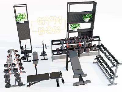 Home Gym Box With Dumbbells Barbells Weight Benches Storage Racks And Green Plants 3d model