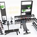 Home Gym Box With Dumbbells Barbells Weight Benches Storage Racks And Green Plants