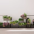 Multiple Black Flower Planters with Logo Featuring Various Green Plants and Pink Flowers