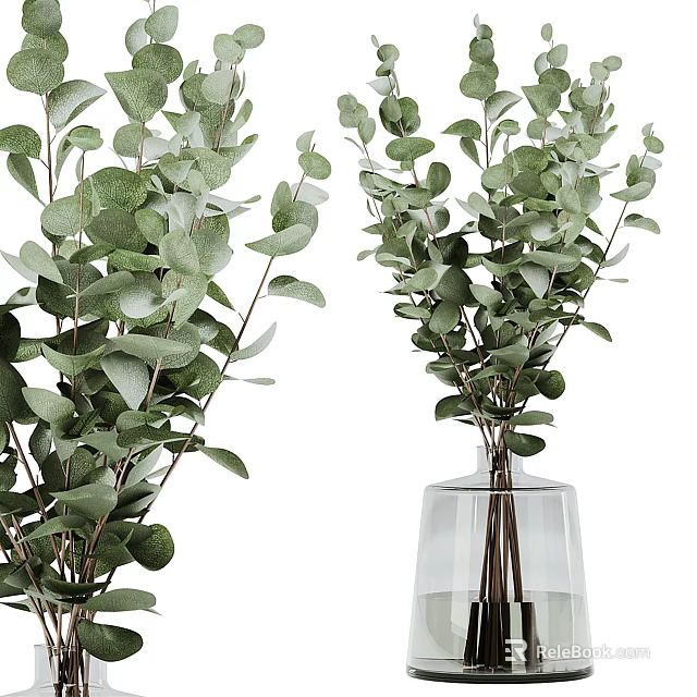 Fresh Eucalyptus Branches Arranged In Transparent Glass Vase For Home Decor 3d model 