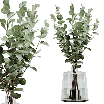 Fresh Eucalyptus Branches Arranged In Transparent Glass Vase For Home Decor 3d model
