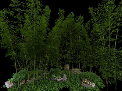 Lush Dense Bamboo Forest with Natural Rocks and Scenic Greenery View 3d model