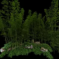 Lush Dense Bamboo Forest with Natural Rocks and Scenic Greenery View