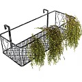 Hanging Potted Plants In Black Metal Wire Basket With Trailing Greenery