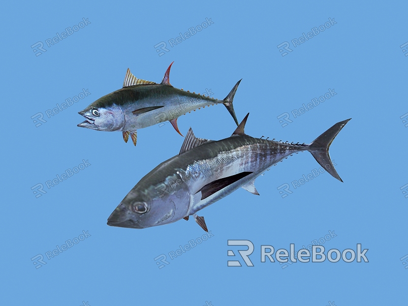 Modern Fish Sea Fish Tuna model