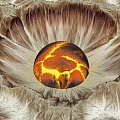 Glowing Central Lava Sphere Art Installation With Radiating Rock Textures And Warm Tones