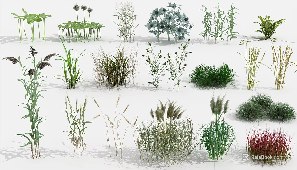 Diverse Collection of Shrubs and Herbaceous Plants for Garden Landscaping 3d model 