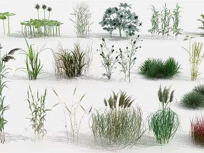 Diverse Collection of Shrubs and Herbaceous Plants for Garden Landscaping 3d model