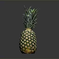 Fresh Ripe Pineapple With Green Leaves And Golden Textured Skin