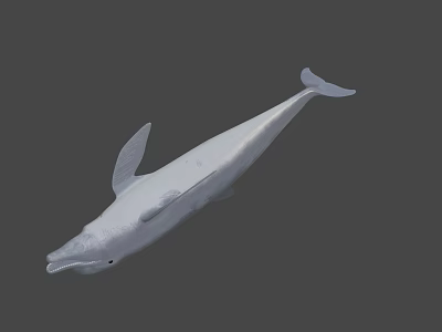 Game Movie Character White Dolphin 3D Render with Animated Realistic Design 3d model