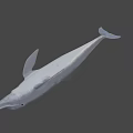 Game Movie Character White Dolphin 3D Render with Animated Realistic Design 3d model
