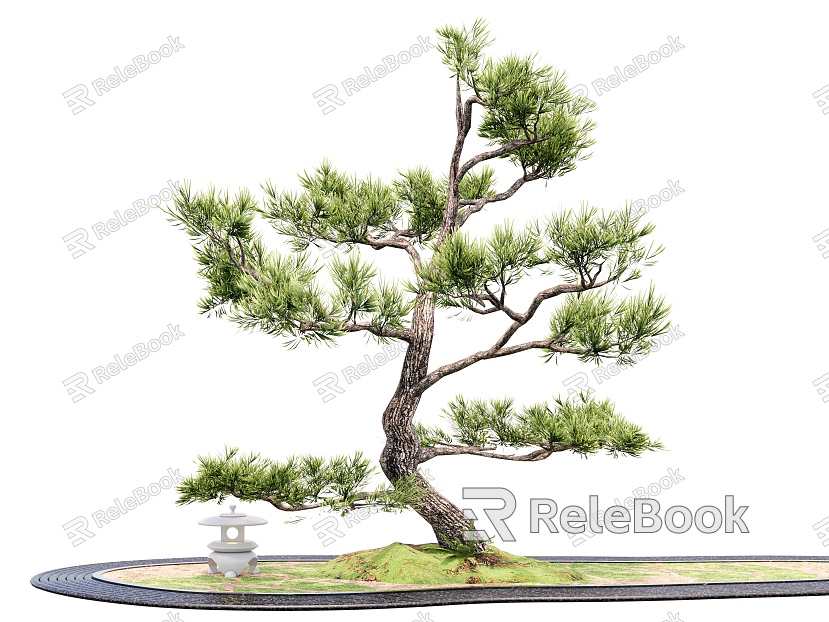 Pine Lohan pine welcome pine landscape tree modeling tree ornamental tree landscape sketch stone end view model