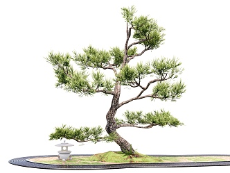 Pine Lohan pine welcome pine landscape tree modeling tree ornamental tree landscape sketch stone end view 3d model