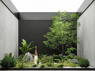 Modern courtyard sketch landscape sketch plant landscaping rockery stone indoor landscape plant pile ferns 3d model