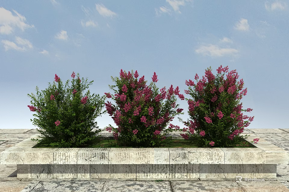 Flowering Shrubs With Pink Flowers In Stone Planter Under Blue Sky White Clouds 3d model 