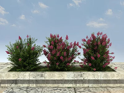 Flowering Shrubs With Pink Flowers In Stone Planter Under Blue Sky White Clouds 3d model