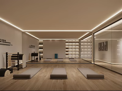 Well Lit Fitness Studio With Wooden Floor Gray Exercise Mats Black Equipment And White Shelves 3d model