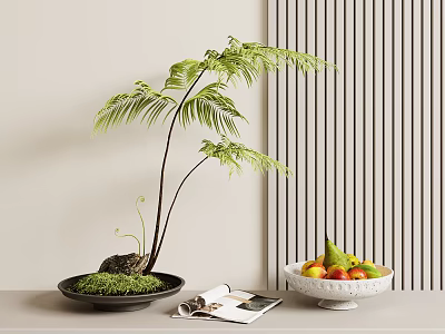 Bonsai Fern Plant in Black Pot with Moss Magazine Fruit Bowl by Vertical Slat Wall 3d model