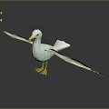 White Seagull with Spread Wings Orange Beak and Feet on Smooth Surface with Reflection