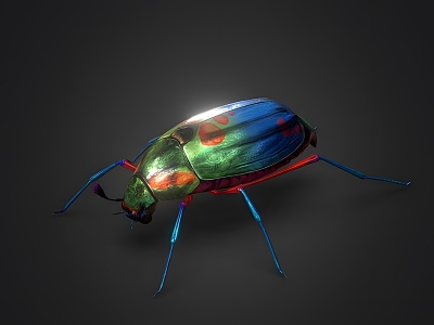 Bugs model