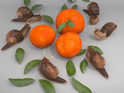 Reptiles Snails Surrounded By Fresh Oranges And Green Leaves On Gray Background 3d model