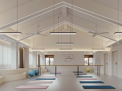 Spacious Bright Yoga Fitness Studio With Colorful Yoga Mats Exercise Balls And Dance Barres 3d model