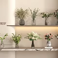 Stylish Flower Vases With Mixed Blooms On Layered Shelves Against Light Wall