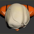 3D Game and Movie Character Bust With White Hair Blue Eyes Freckles and Orange Top